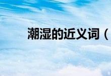 潮湿的近义词（潮湿词语详细介绍）