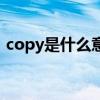 copy是什么意思中文（英语copy什么意思）