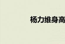 杨力维身高（杨力维简介）