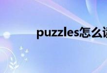 puzzles怎么读（puzzles解释）