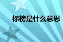 标榜是什么意思（标榜一词出自何处）