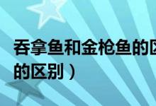 吞拿鱼和金枪鱼的区别（吞拿鱼和金枪鱼两者的区别）