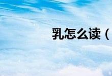 乳怎么读（乳具体怎么读）