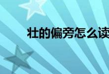 壮的偏旁怎么读（壮的偏旁怎么念）