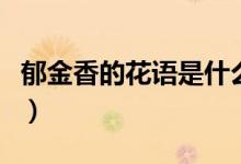 郁金香的花语是什么意思（郁金香有什么寓意）