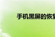 手机黑屏的恢复方法（手机黑屏）