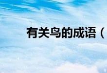有关鸟的成语（有关鸟的成语大全）
