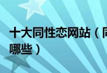 十大同性恋网站（同志网站盘点男同性网站有哪些）
