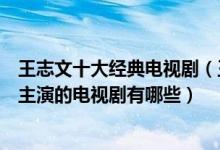 王志文十大经典电视剧（王志文演的电视剧哪个好看王志文主演的电视剧有哪些）
