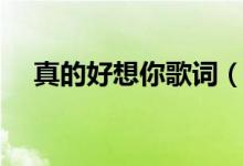 真的好想你歌词（真的好想你整首歌词）