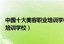 中国十大美容职业培训学校（美容学校排行榜前十名美容师培训学校）