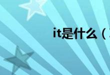 it是什么（IT是什么意思）