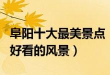 阜阳十大最美景点（阜阳景色优美的地方阜阳好看的风景）