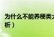 为什么不能养梗类犬（不能养梗类犬的原因分析）