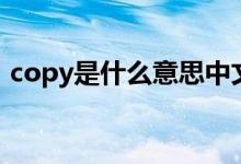 copy是什么意思中文（英语copy什么意思）