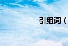 引组词（引怎么组词）