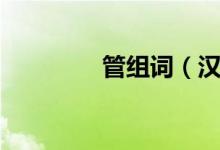管组词（汉字管怎么组词）