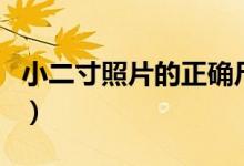 小二寸照片的正确尺寸是多少（照片尺寸介绍）
