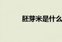 胚芽米是什么米（胚芽米介绍）