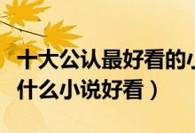 十大公认最好看的小说（值得推荐好看的小说什么小说好看）