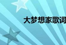 大梦想家歌词（大梦想家介绍）