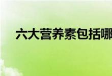 六大营养素包括哪些（关于六大营养素）
