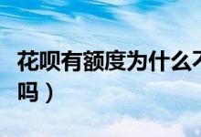 花呗有额度为什么不能付款（这些原因你知道吗）