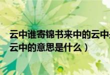 云中谁寄锦书来中的云中是什么意思（云中谁寄锦书来中的云中的意思是什么）