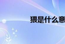 猥是什么意思（猥的释义）