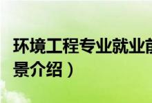 环境工程专业就业前景（环境工程专业就业前景介绍）