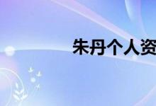 朱丹个人资料（朱丹介绍）
