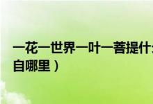 一花一世界一叶一菩提什么意思（一花一世界一叶一菩提出自哪里）