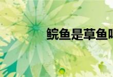 鲩鱼是草鱼吗（鲩鱼的介绍）