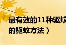 最有效的11种驱蚊方法（驱蚊小妙招最简单的驱蚊方法）