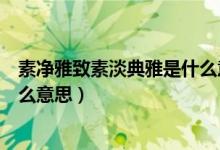 素净雅致素淡典雅是什么意思（素净雅致素淡典雅分别是什么意思）