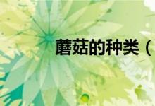 蘑菇的种类（分别有什么特点）