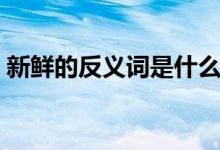新鲜的反义词是什么（新鲜的反义词有哪些）