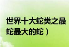 世界十大蛇类之最（蛇类十大世界纪录最毒的蛇最大的蛇）