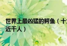世界上最凶猛的鳄鱼（十大攻击性最强的鳄鱼榜首曾经吃掉近千人）
