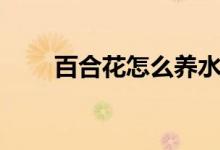 百合花怎么养水里（百合花怎么养）