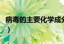 病毒的主要化学成分是什么（主要成分是核酸）
