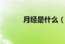 月经是什么（关于月经是什么）