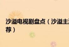 沙溢电视剧盘点（沙溢主演的电视剧有哪些沙溢电视作品推荐）