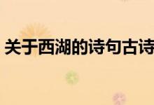 关于西湖的诗句古诗（关于西湖的古诗精选）