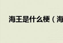 海王是什么梗（海王是什么梗什么意思）