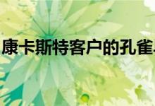 康卡斯特客户的孔雀早期预览版明天开始推出