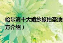 哈尔滨十大婚纱旅拍圣地排行榜（哈尔滨适合拍婚纱照的地方介绍）