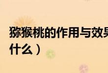 猕猴桃的作用与效果（猕猴桃的作用与效果是什么）