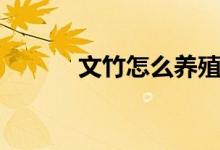 文竹怎么养殖（文竹养殖方法）