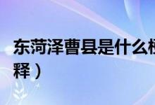 东菏泽曹县是什么梗（东菏泽曹县这个梗的解释）